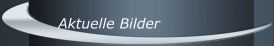 Aktuelle Bilder