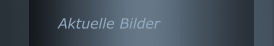 Aktuelle Bilder